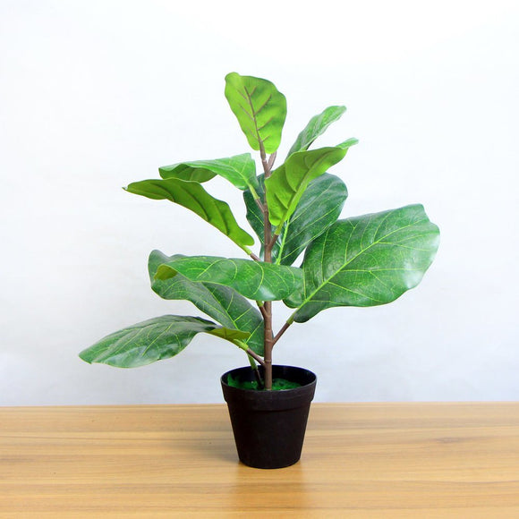 Different Kinds Amazing Big Artificial Plants